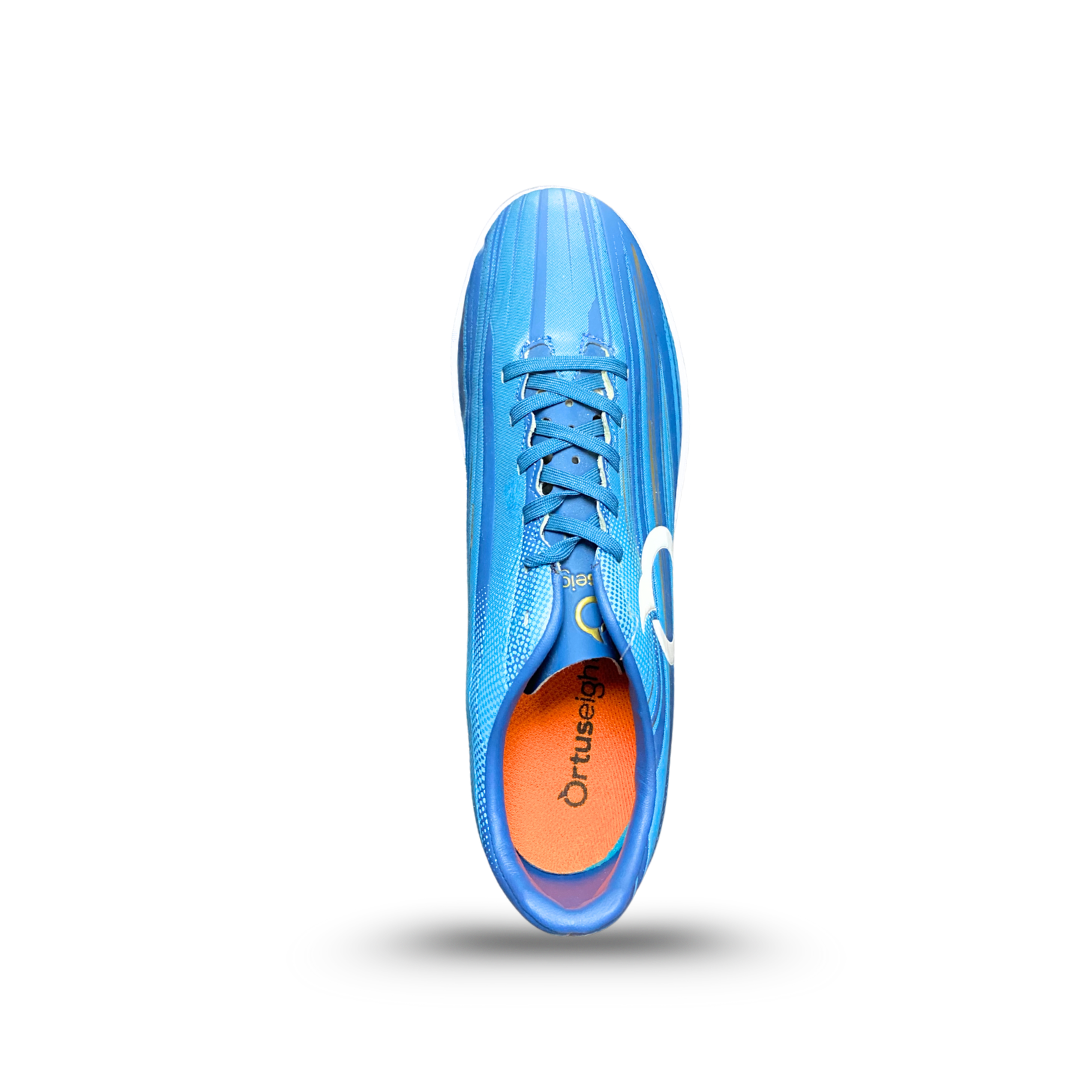 Ortuseight Raven V2 Airforce Blue/Gold